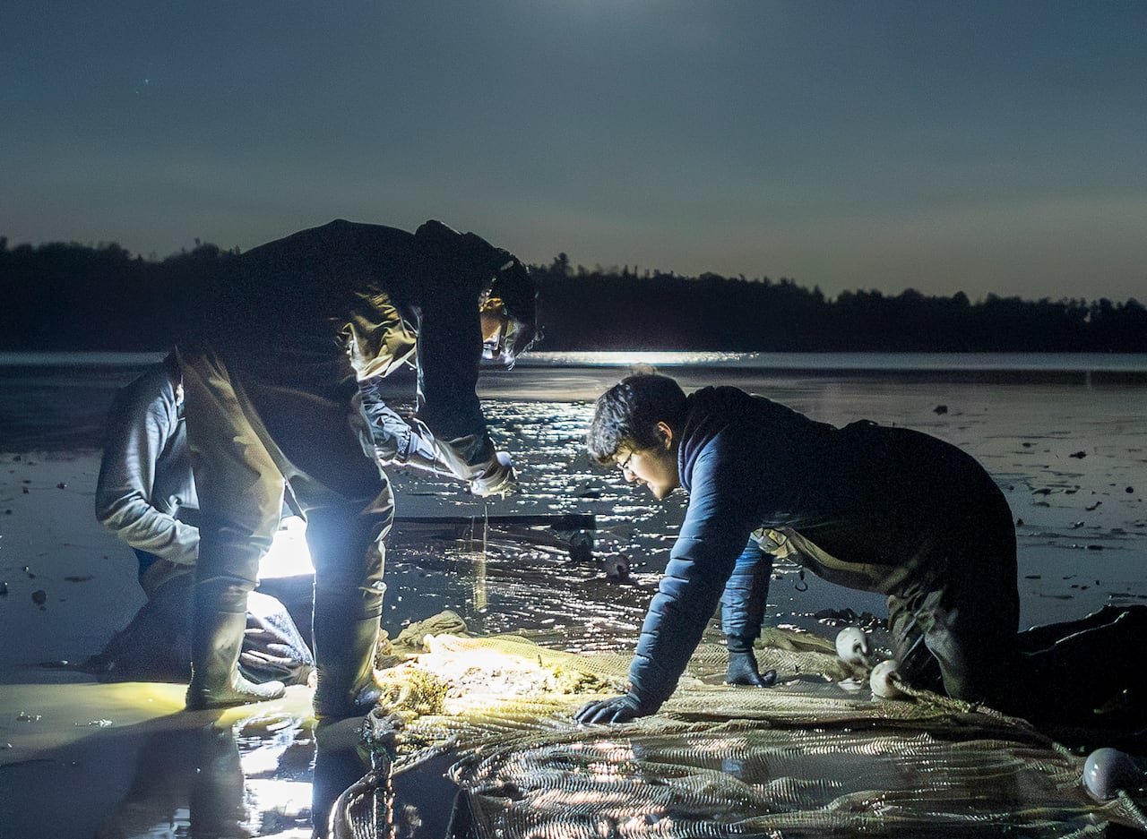 Three student researchers observe a net filled with fish on a dark night under a bright full moon